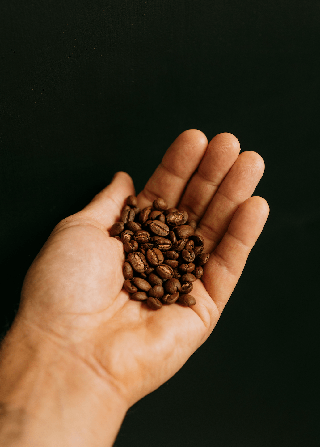 A hand holding Missing bean coffee roasters roasted coffee beans.